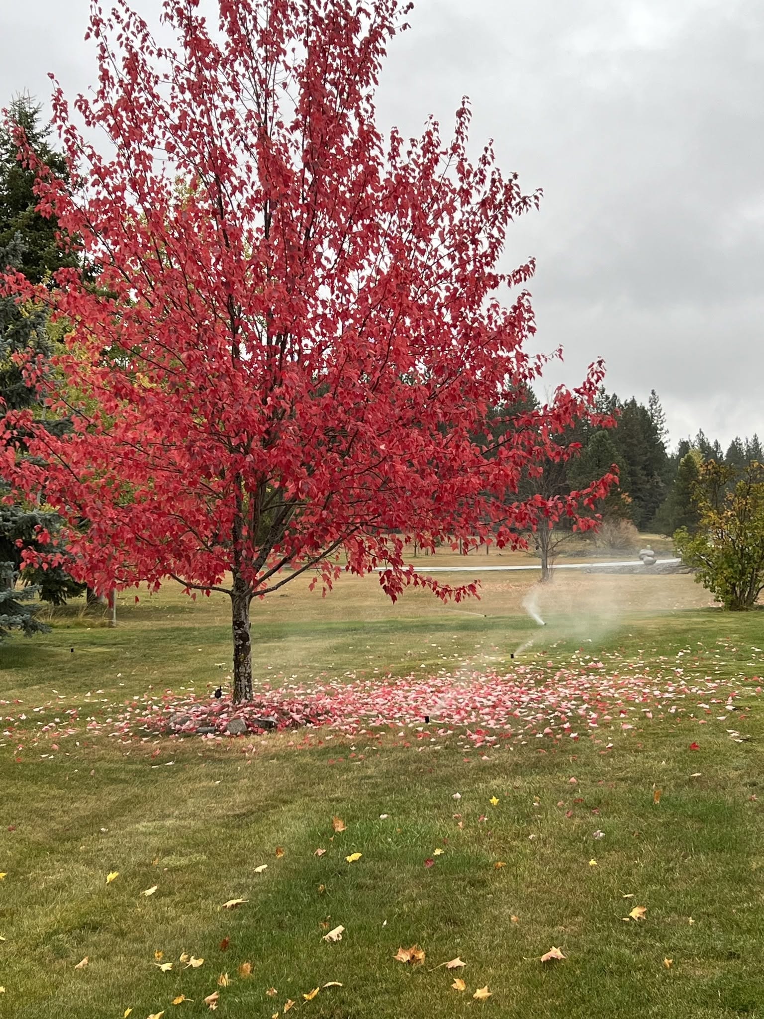Irrigation Drainage Service Coeur Dalene Idaho In North Idaho
