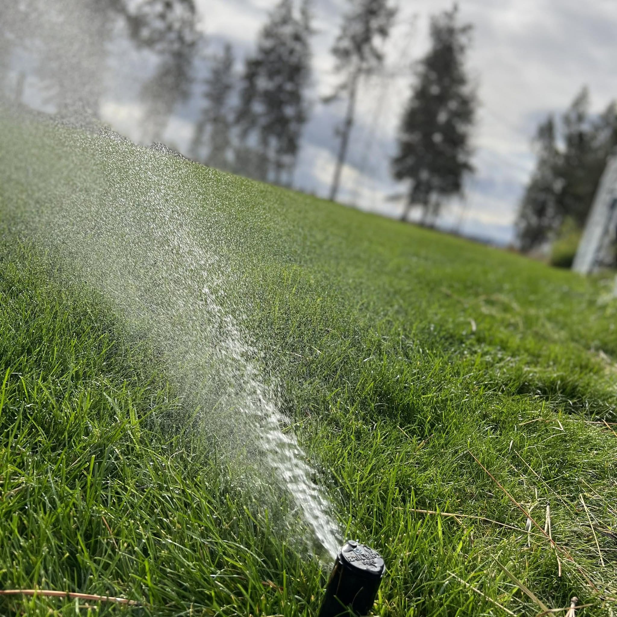Landscape Drainage Project Coeur Dalene Idaho In North Idaho