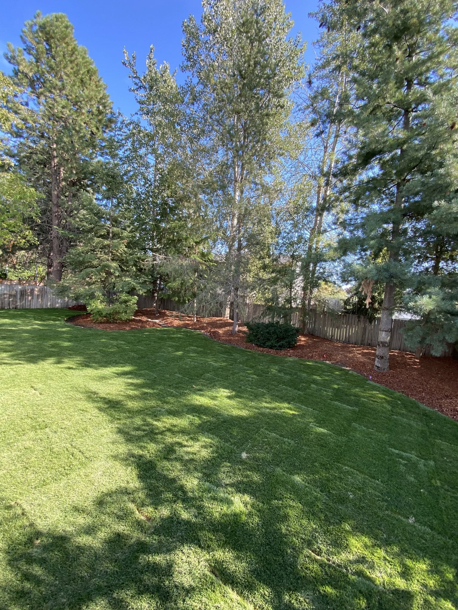 Landscape Drainage Project Coeur Dalene Idaho In North Idaho