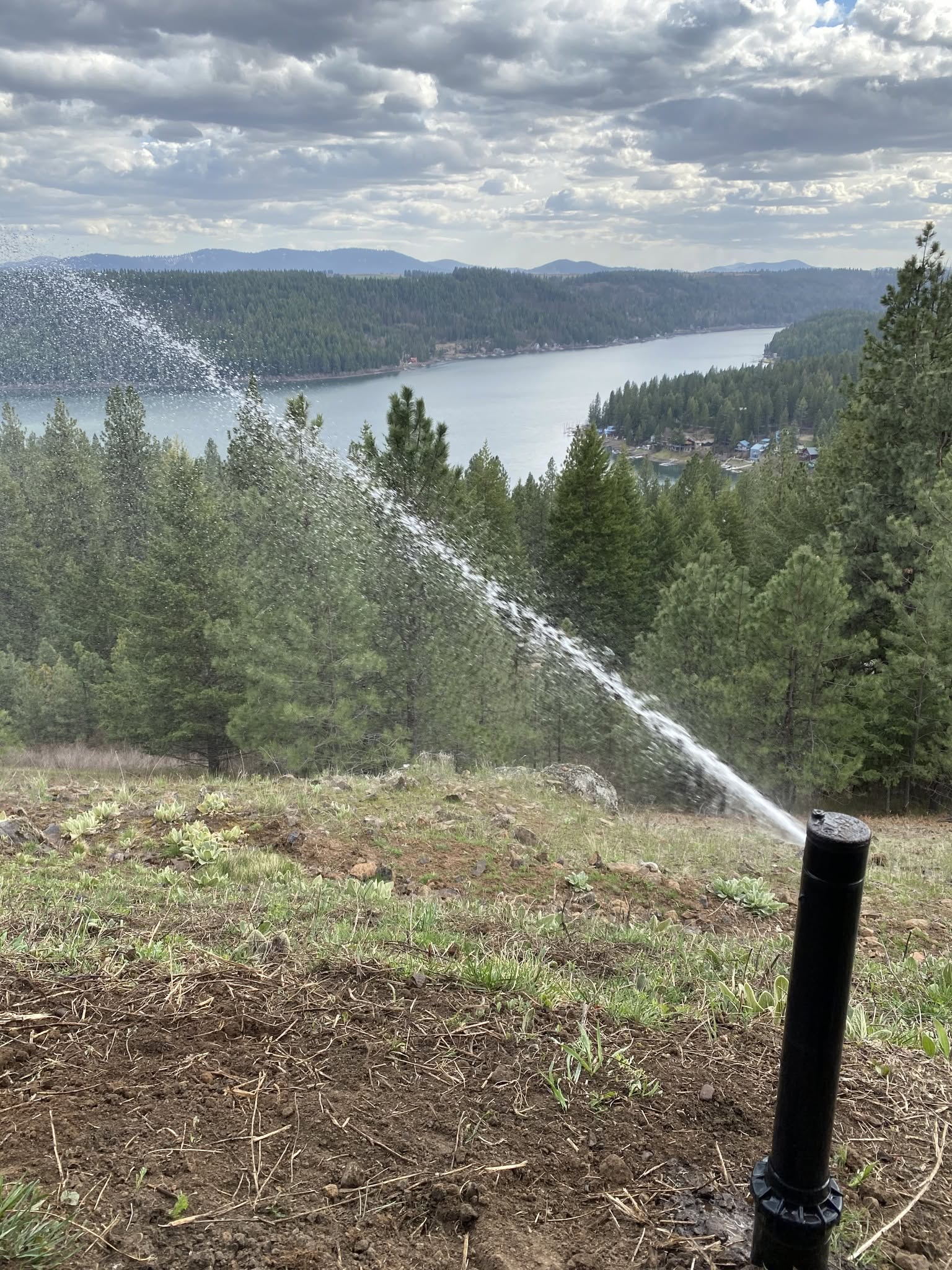 North Idaho Property Work Coeur Dalene Idaho In North Idaho