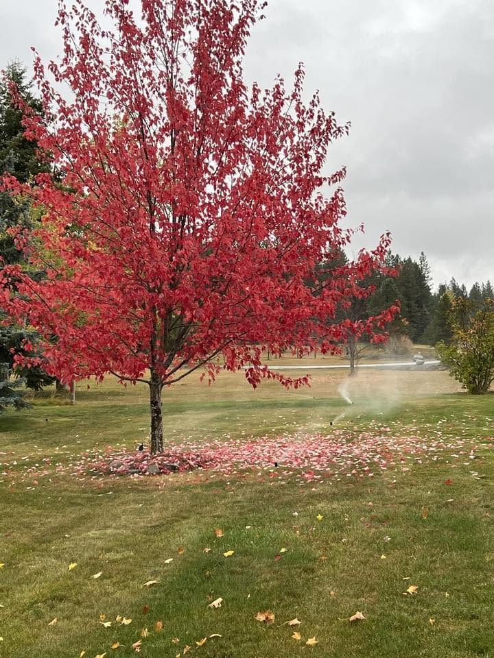 Sprinkler Irrigation Project Coeur Dalene Idaho In North Idaho