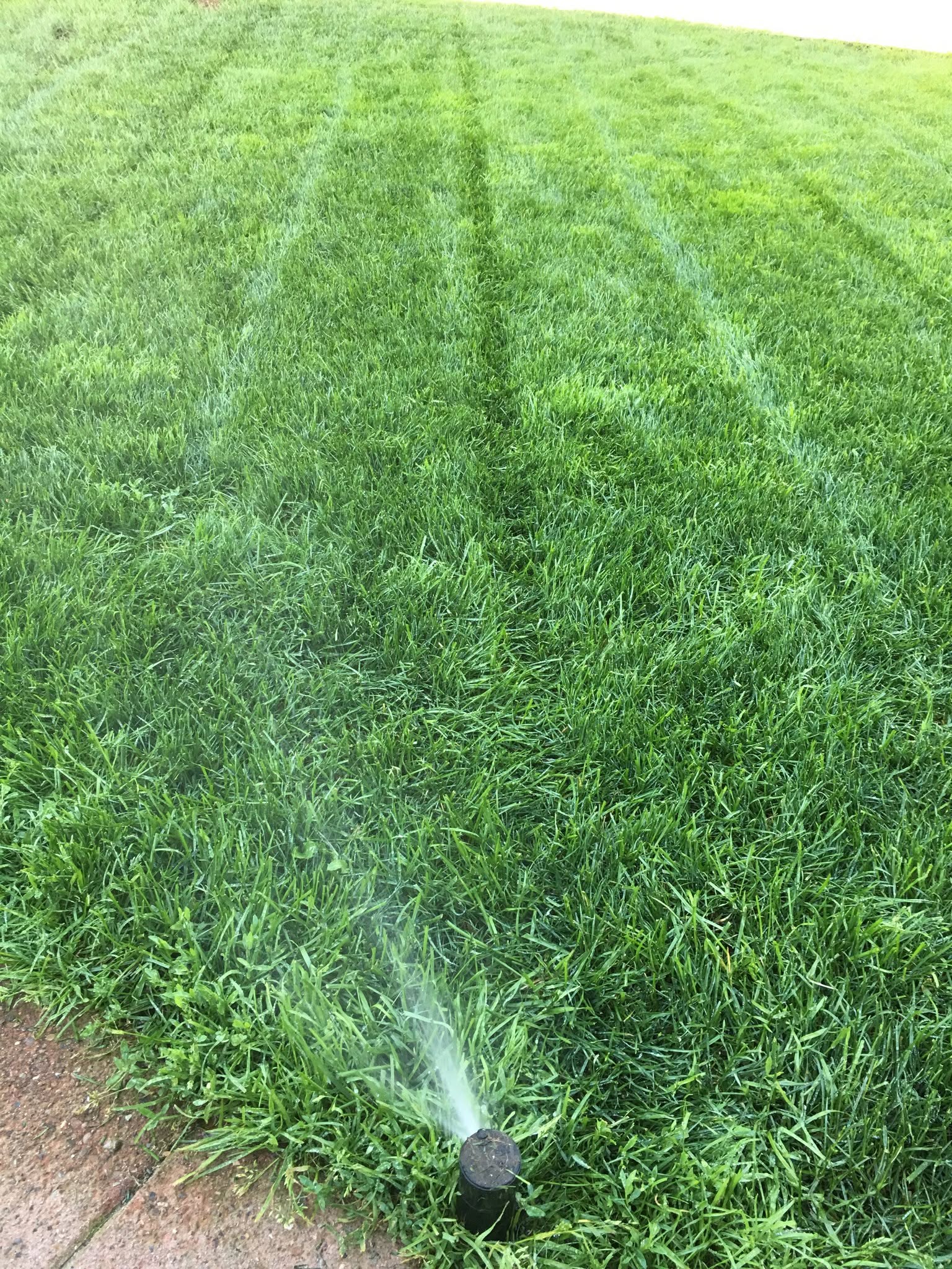 Sprinkler Repair Installation Coeur Dalene Idaho In North Idaho