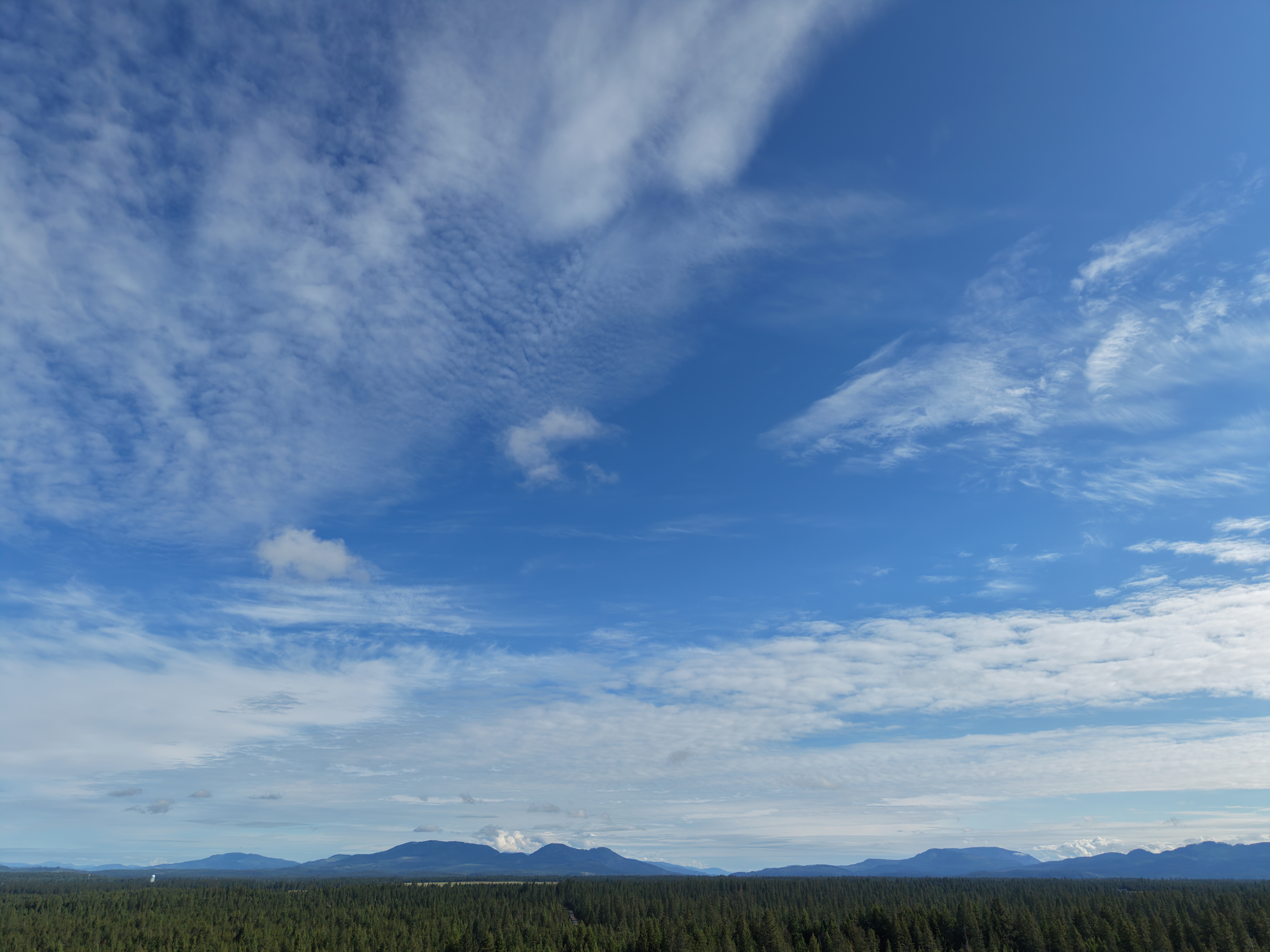 Sky